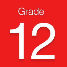 Mathematical Literacy Grade 12 November 2024 Term 4 Past Papers